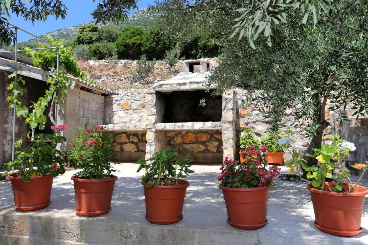 Apartments By The Sea Dingac - Potocine, Peljesac - 4533 Potomje Exteriér fotografie